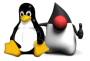 Java e Linux